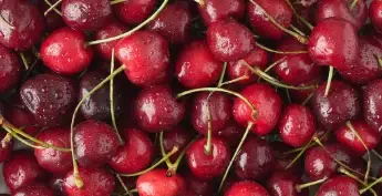Fresh, vibrant red cherries sorted and packed for distribution, representing IM UP's strict food-grade sanitization and safety standards.